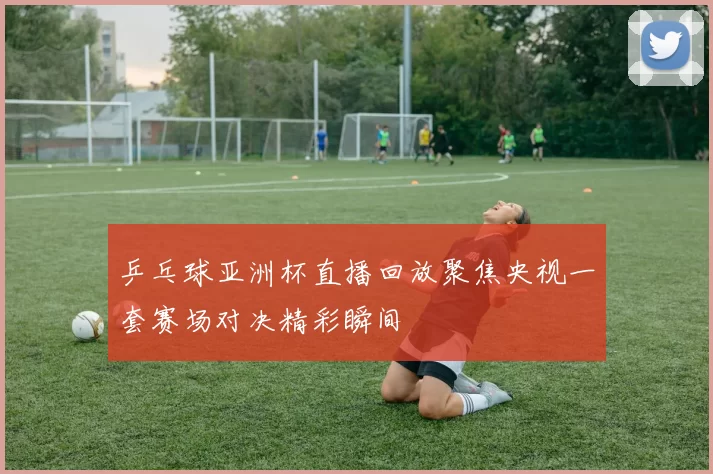 乒乓球亚洲杯直播回放聚焦央视一套赛场对决精彩瞬间