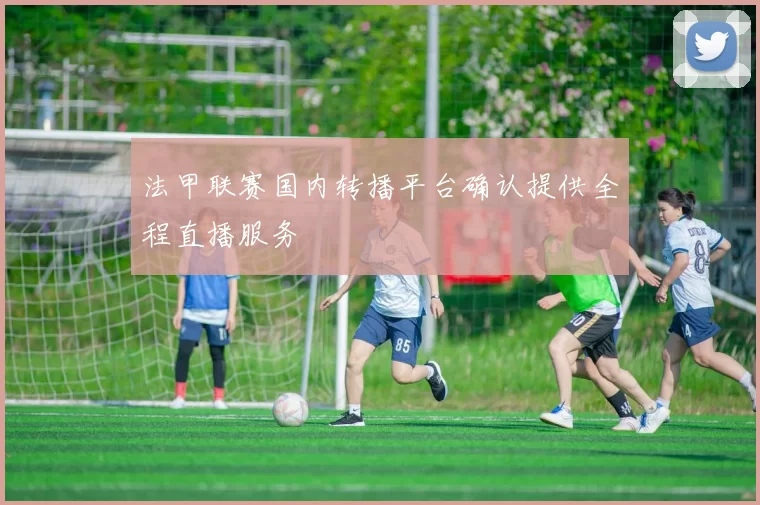 法甲联赛国内转播平台确认提供全程直播服务