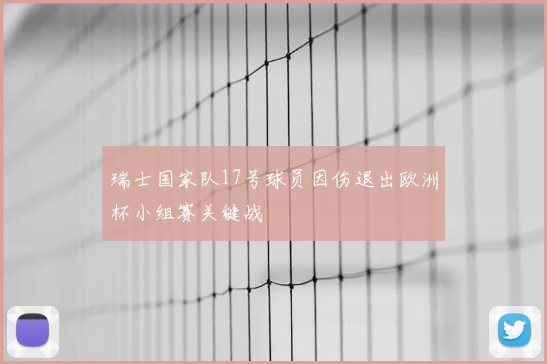 瑞士国家队17号球员因伤退出欧洲杯小组赛关键战