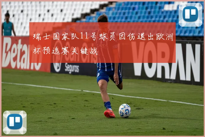 瑞士国家队11号球员因伤退出欧洲杯预选赛关键战