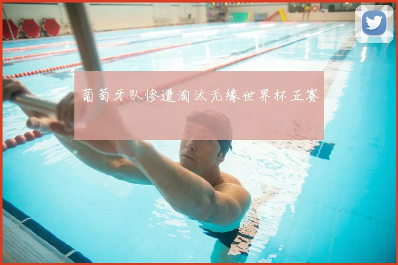 葡萄牙队惨遭淘汰无缘世界杯正赛