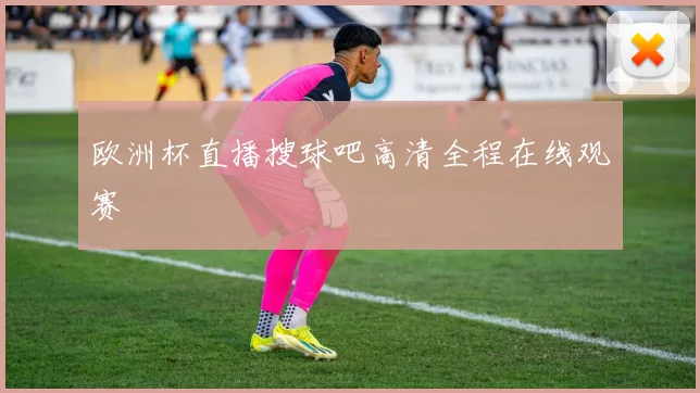 欧洲杯直播搜球吧高清全程在线观赛