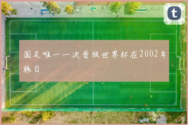 国足唯一一次晋级世界杯在2002年韩日