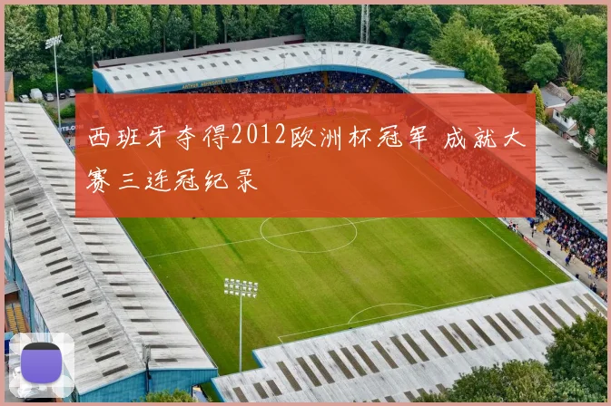 西班牙夺得2012欧洲杯冠军 成就大赛三连冠纪录