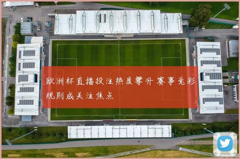 欧洲杯直播投注热度攀升 赛事竞彩规则成关注焦点