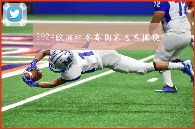 2024欧洲杯参赛国家名单揭晓